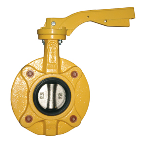Lug butterfly valve